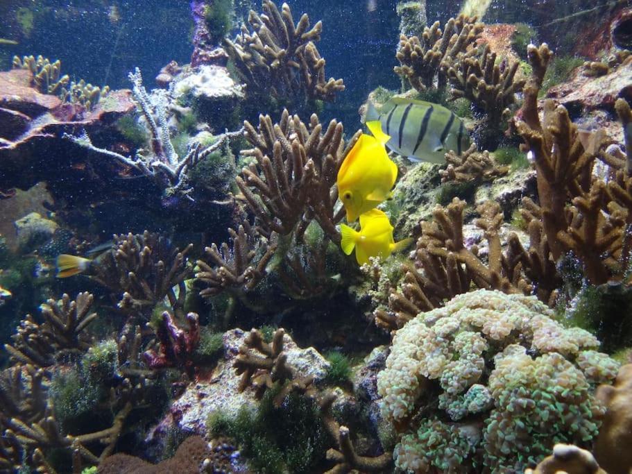 Inselidylle Villa Kunterbunt Fehmarn Esterno foto